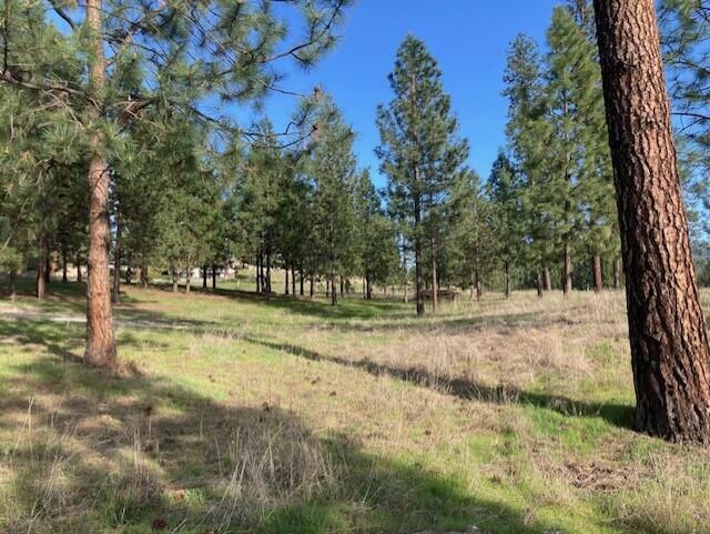Property Photo: 1349 Lake Roosevelt Way WA 99141