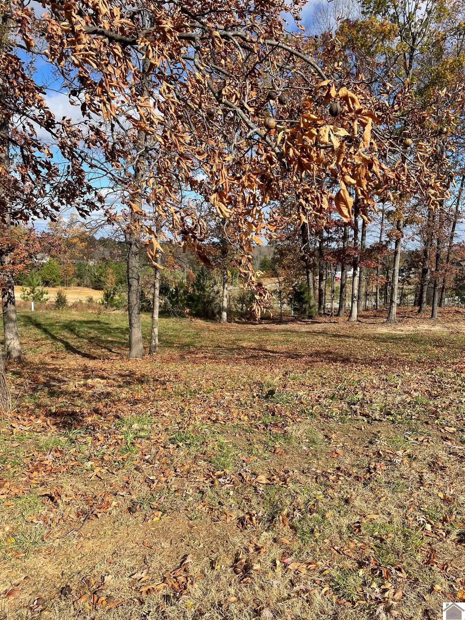 Property Photo:  Lot 94 Forest Ridge Drive  KY 42003 