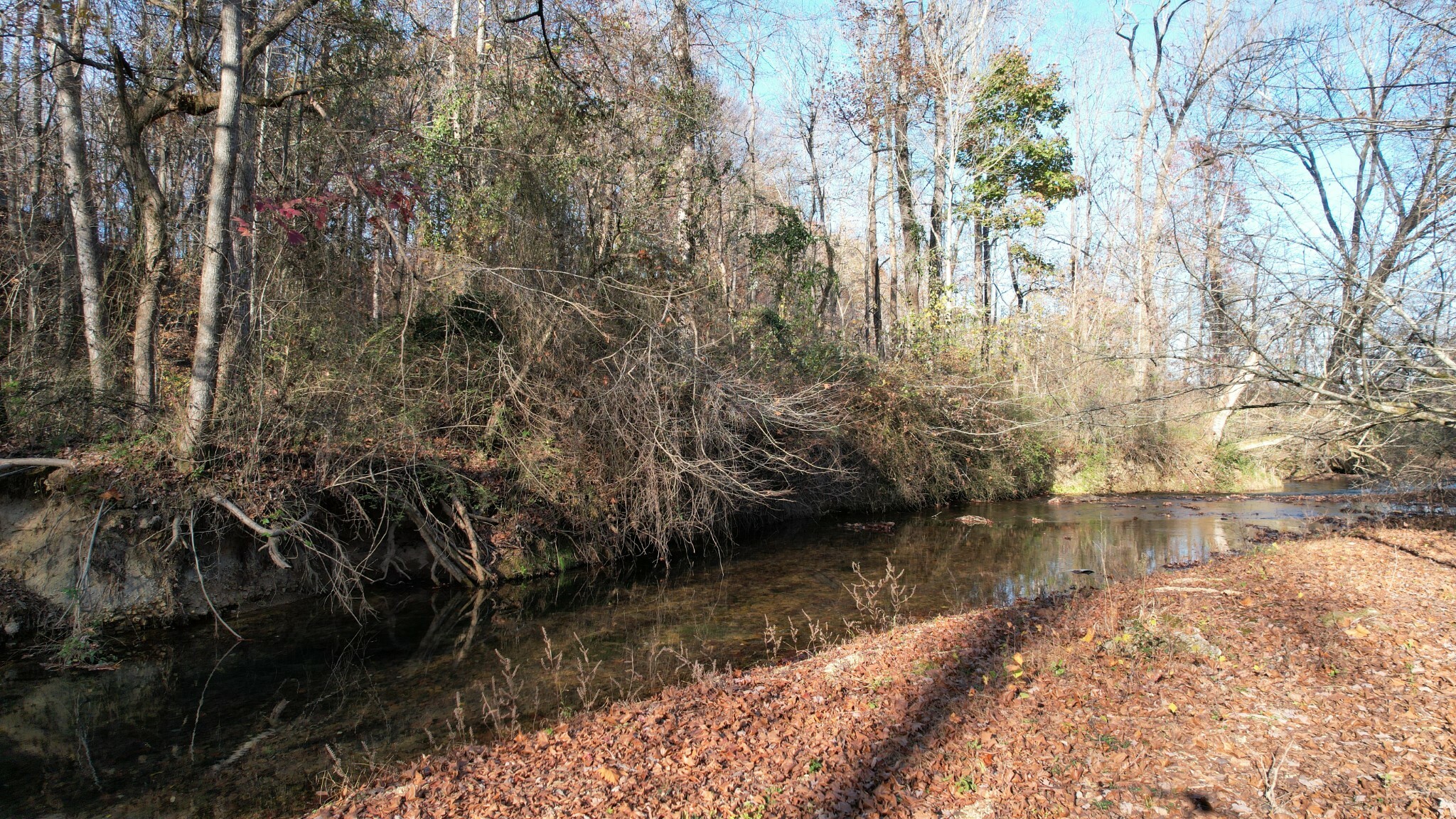 Property Photo:  116 Waterfork Rd  TN 38456 