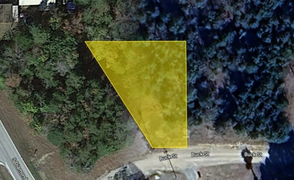 Property Photo:  Lot 38 Buck Street  AR 72644 