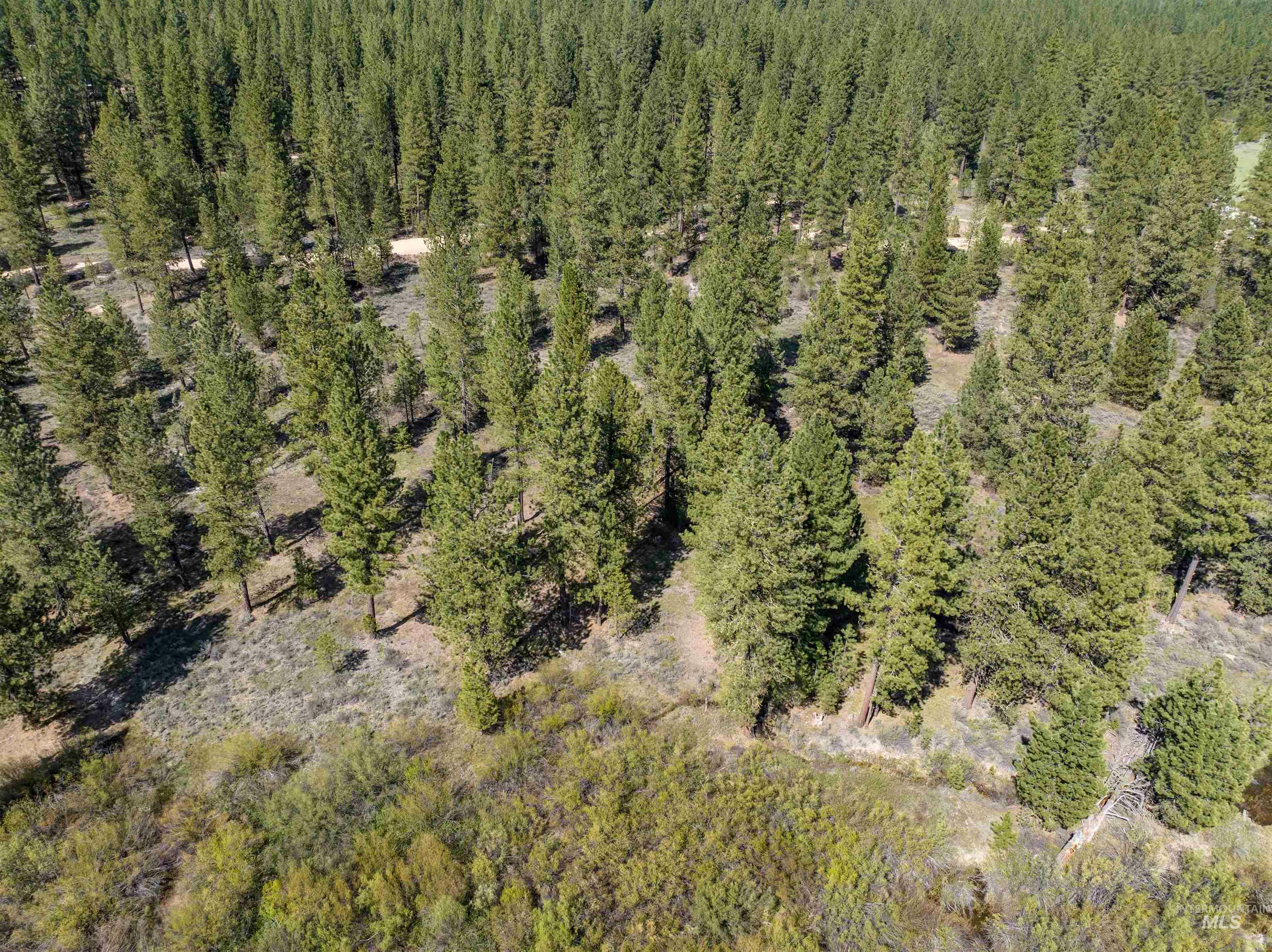 Property Photo:  Lot 4 Star Creek Ct  ID 83666 