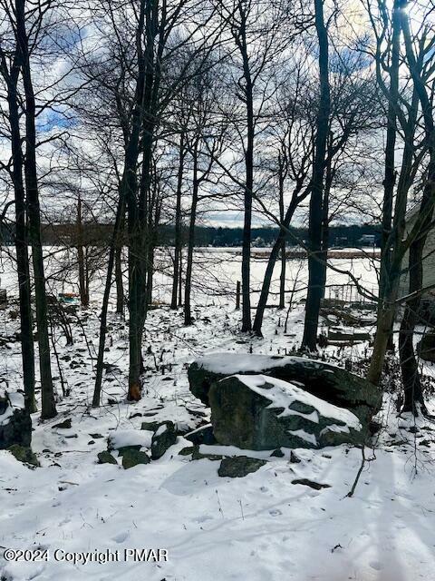 Waterfront Lot 173 Drive  Tobyhanna PA 18466 photo