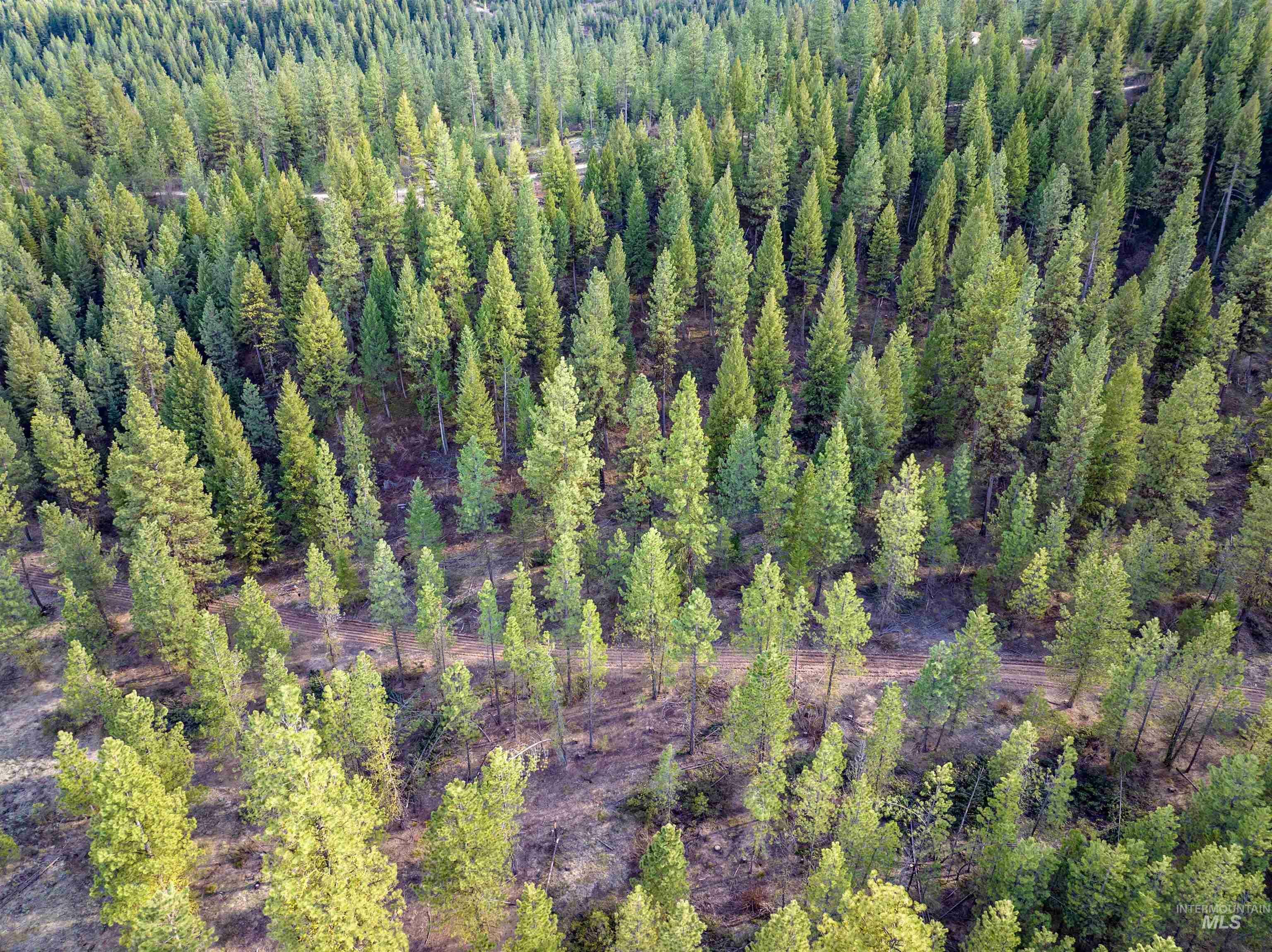 Property Photo:  Lot 19 Trail Creek Ct  ID 83631 