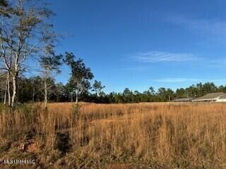 Property Photo: 19195 Sues Road MS 39556