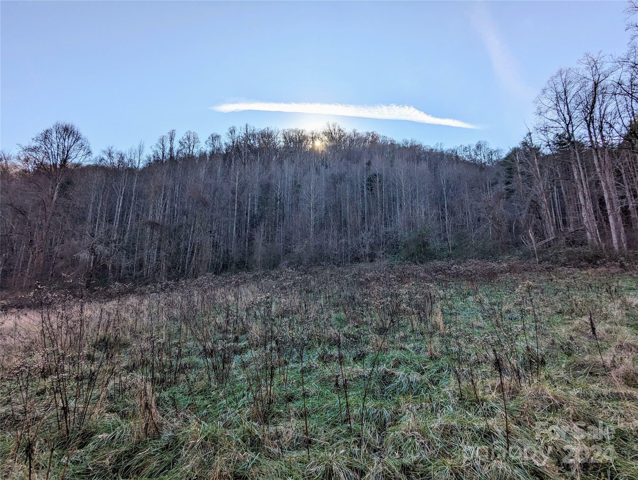 Property Photo:  99999 Upper Paw Paw Road  NC 28753 