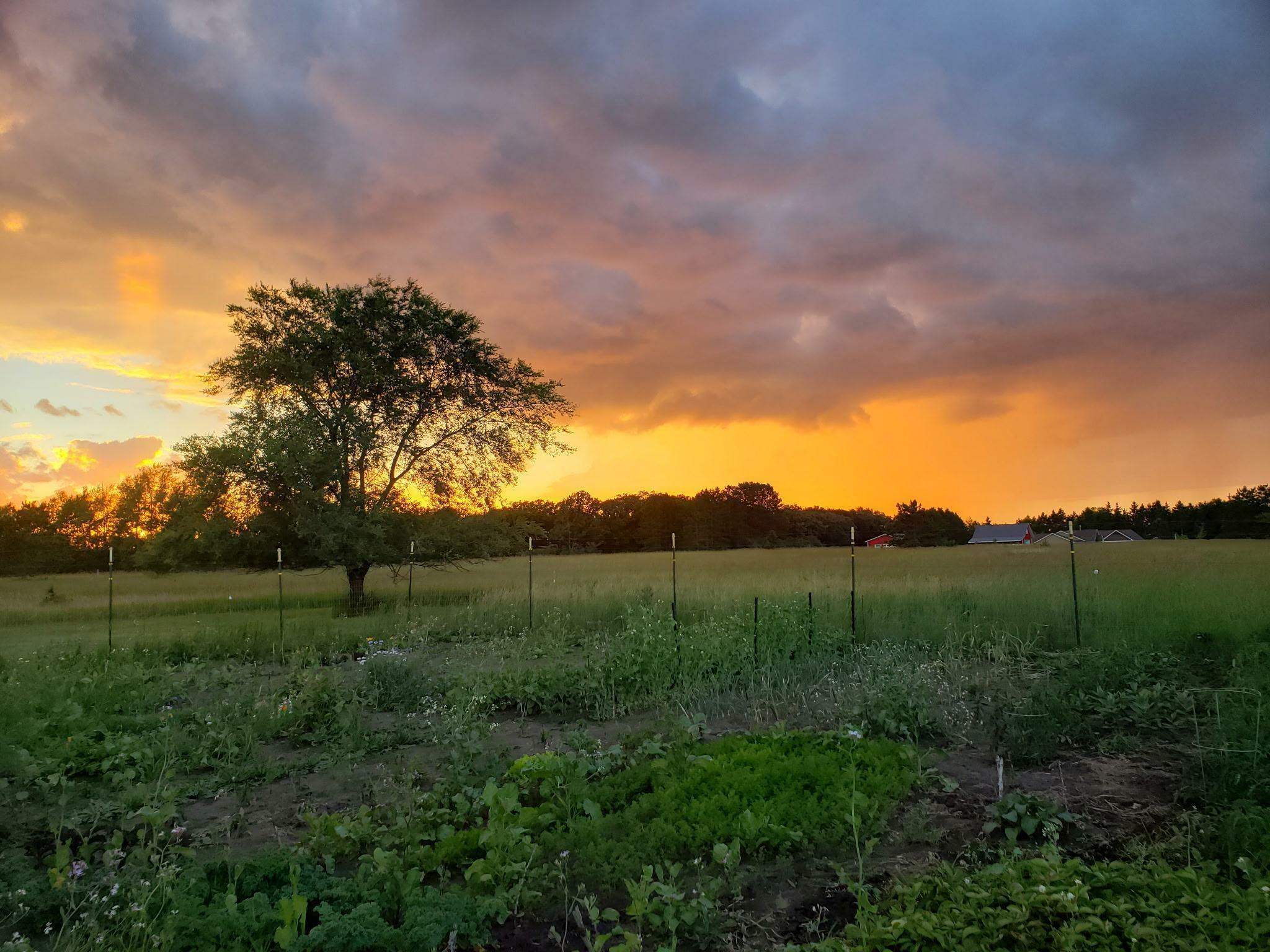 Property Photo: 15331 129th Avenue MN 56482