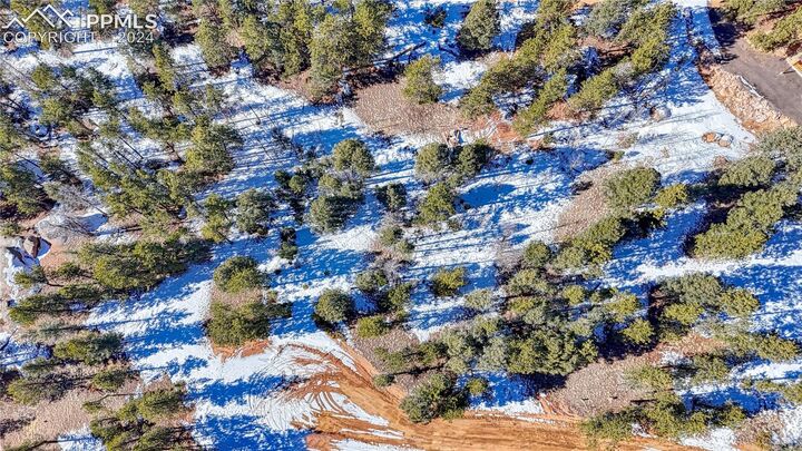 Property Photo:  79 Huntsman Circle  CO 80816 