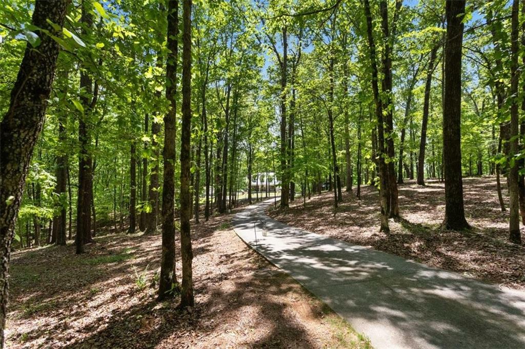 Property Photo: 291 Miquel Jorge Lane GA 30115