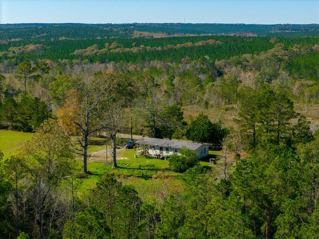 Property Photo:  650 Eddie Martin Road  GA 31803 