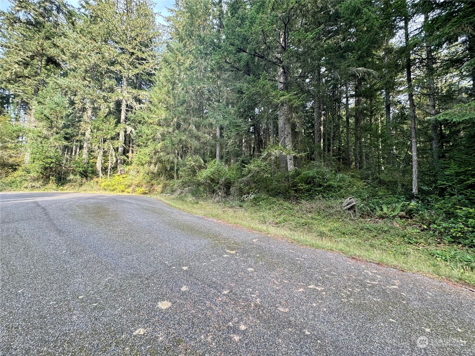 Property Photo:  11411 Tillicum Drive  WA 98303 