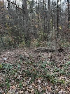 Property Photo:  4430 Ben Lane  NC 27051 
