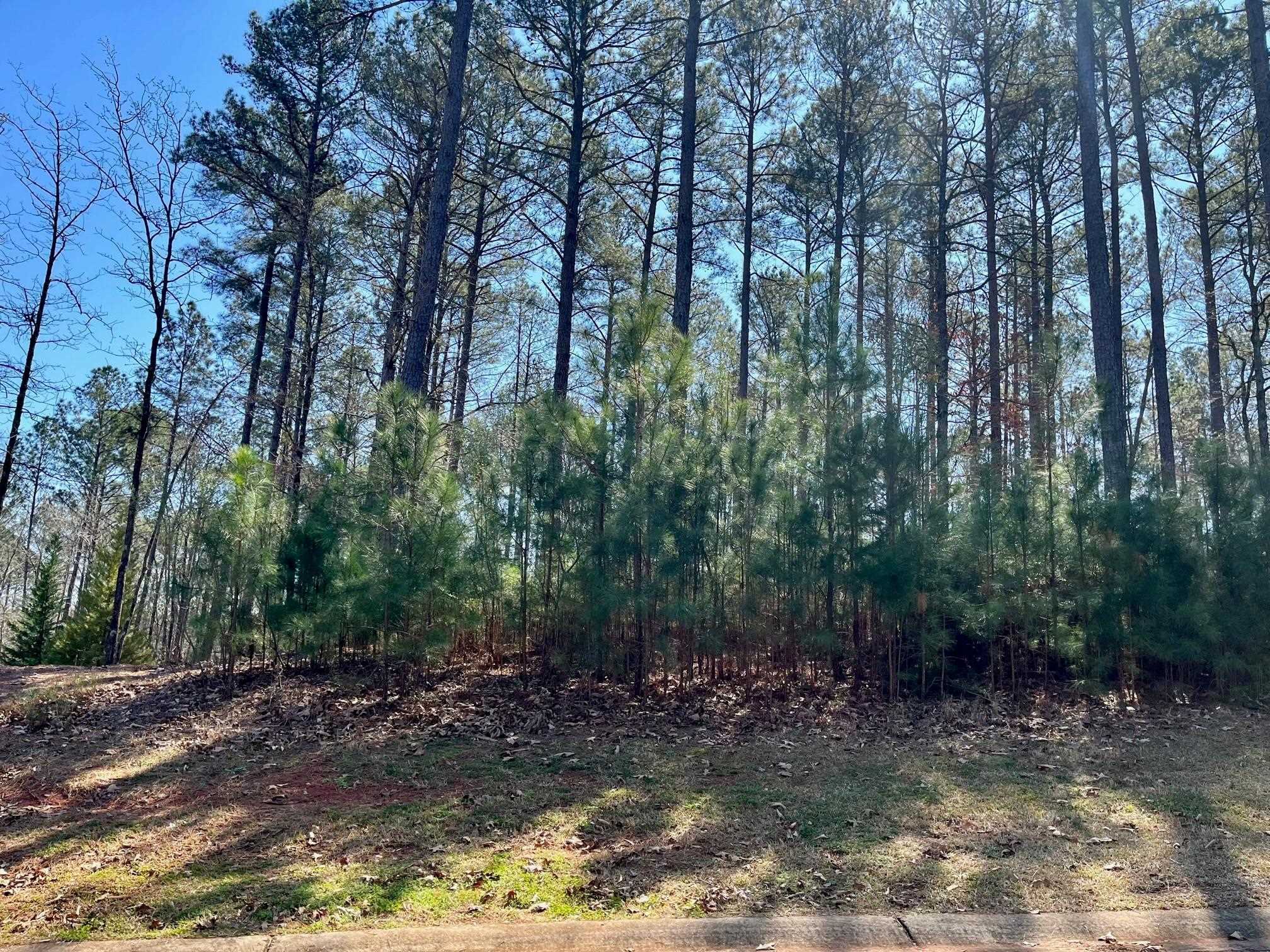Property Photo: 1030 Akers Knoll GA 30642