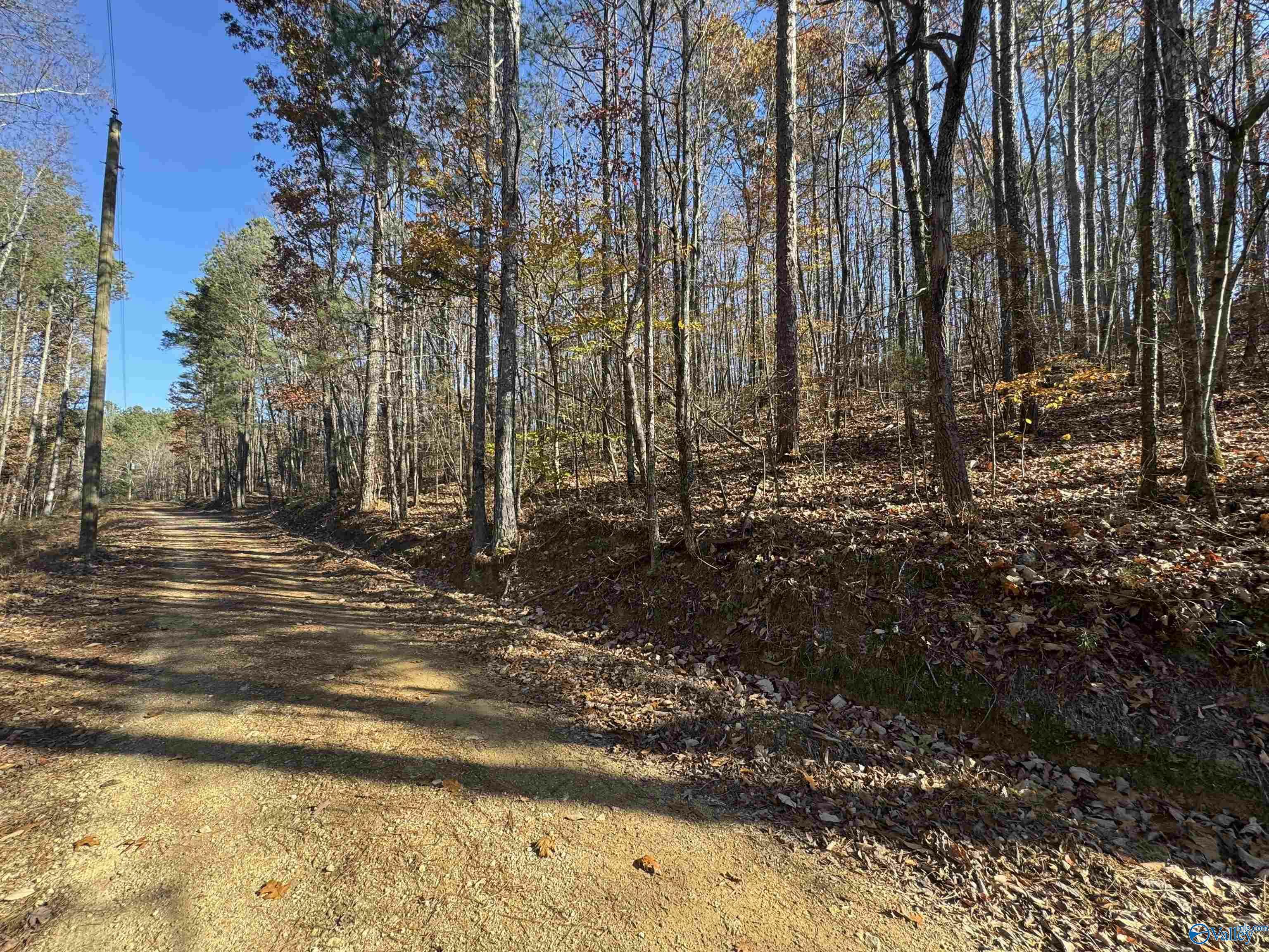 Property Photo:  28 Acres County Road 917  AL 35961 