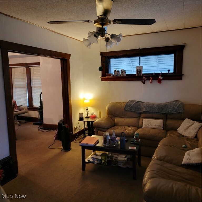 Property Photo:  34 Bane Avenue  OH 44444 