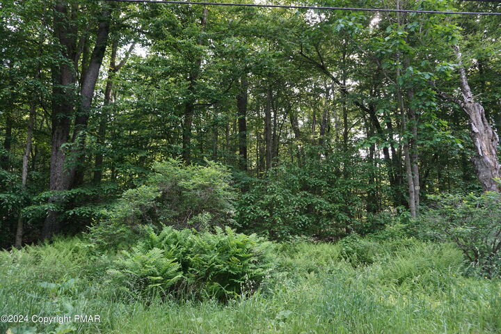 Property Photo: Wagner Way PA 18347