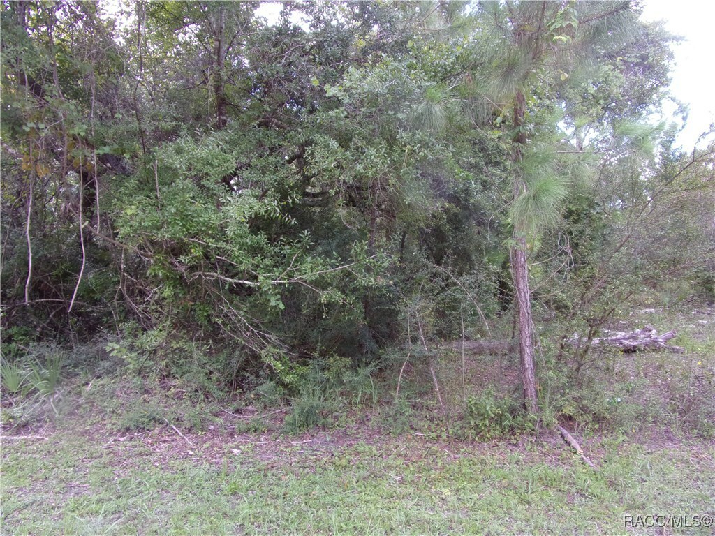 Property Photo:  0 Azalee Avenue  FL 34449 