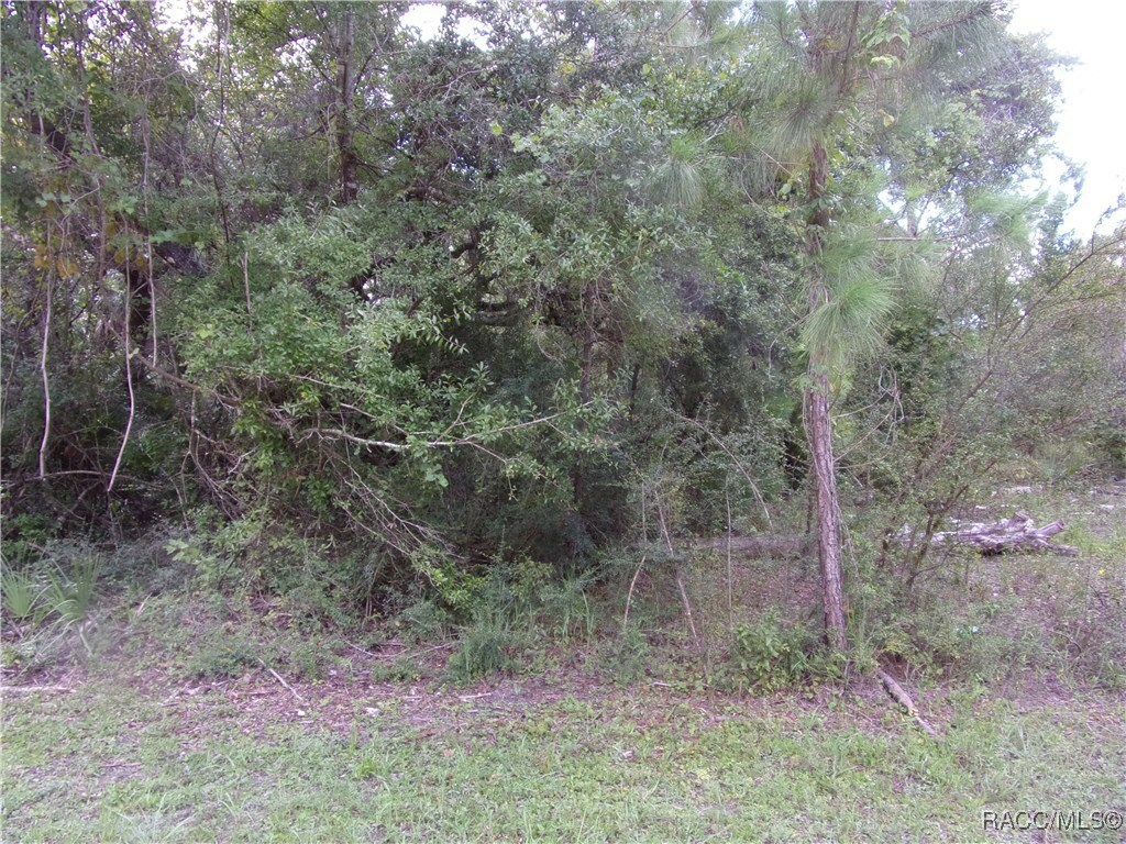 Property Photo: 0 Azalee Avenue FL 34449