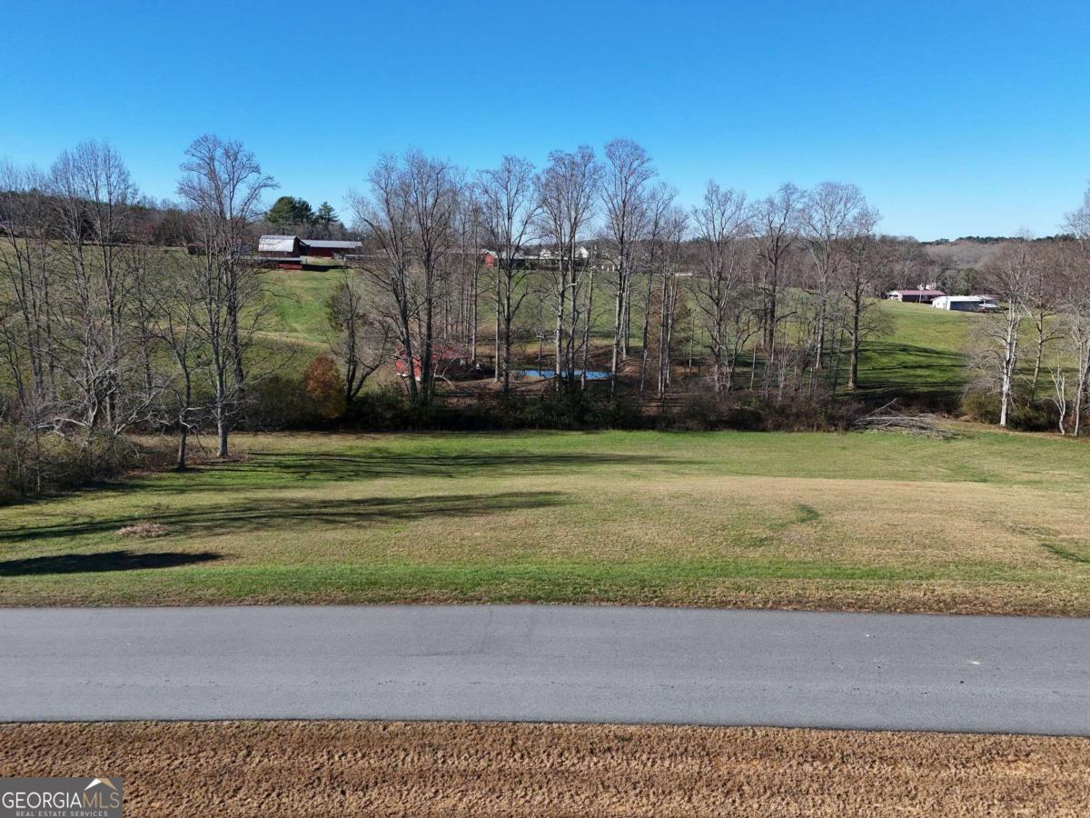 Lot 115 Owen Glen  Blairsville GA 30512 photo