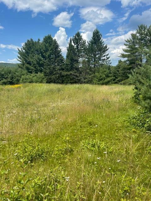 Property Photo: 1474 Main Street ME 04774