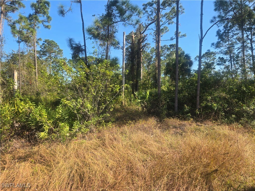 Property Photo: 711 Giorgio Avenue S FL 33974