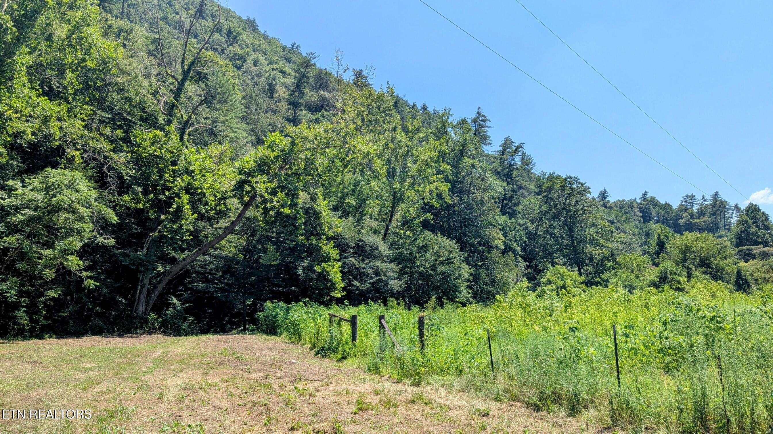 Property Photo: Carrs Creek 14 Acres Rd TN 37882