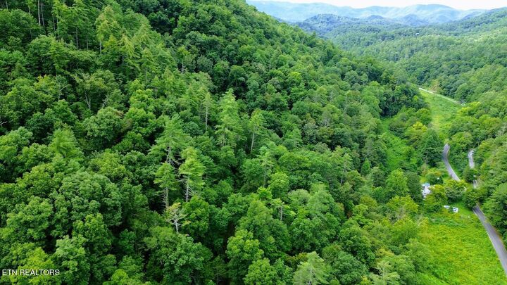 Property Photo:  Carrs Creek   14 Acres Rd  TN 37882 