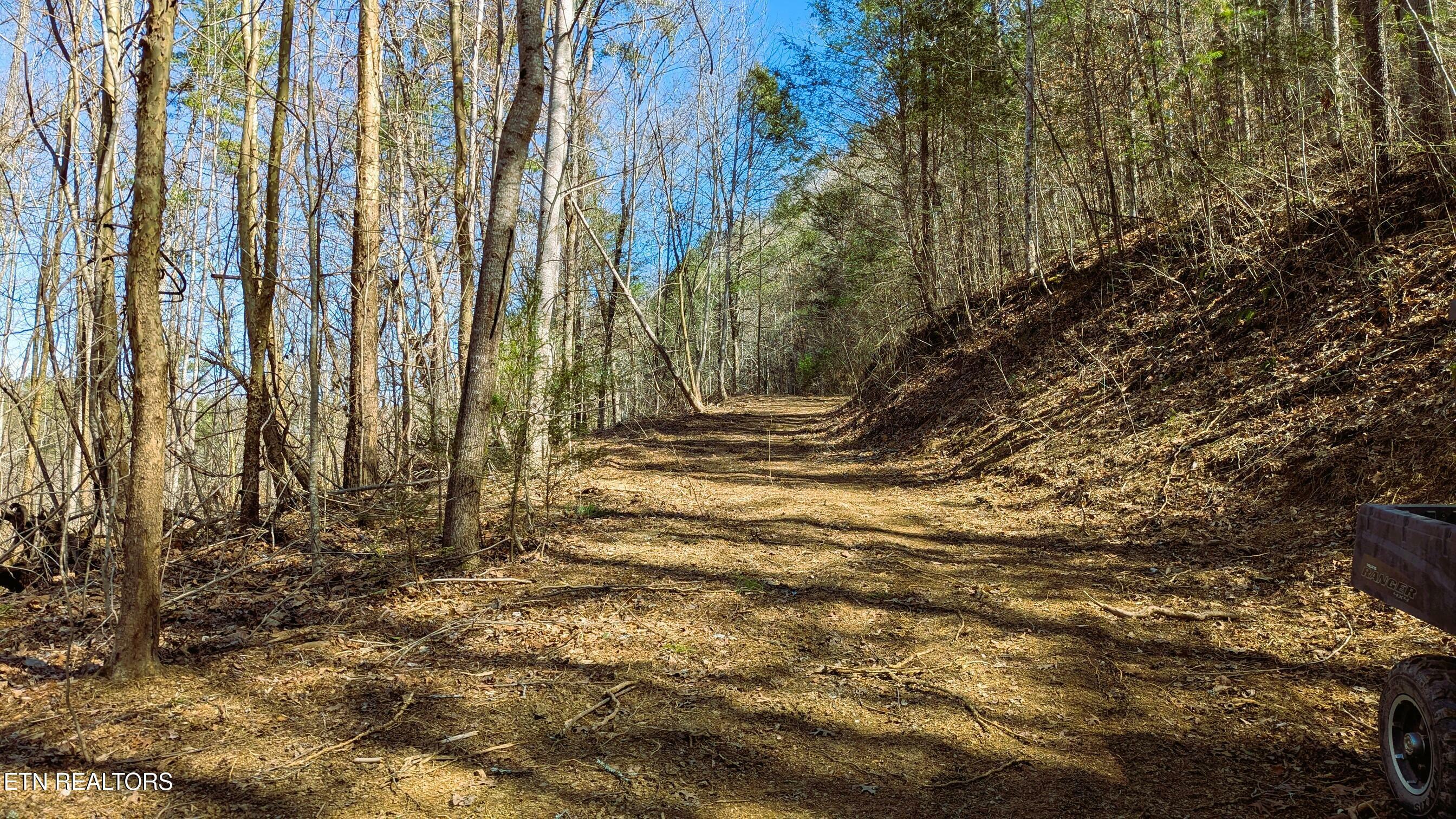 Property Photo:  Carrs Creek Rd  TN 37882 