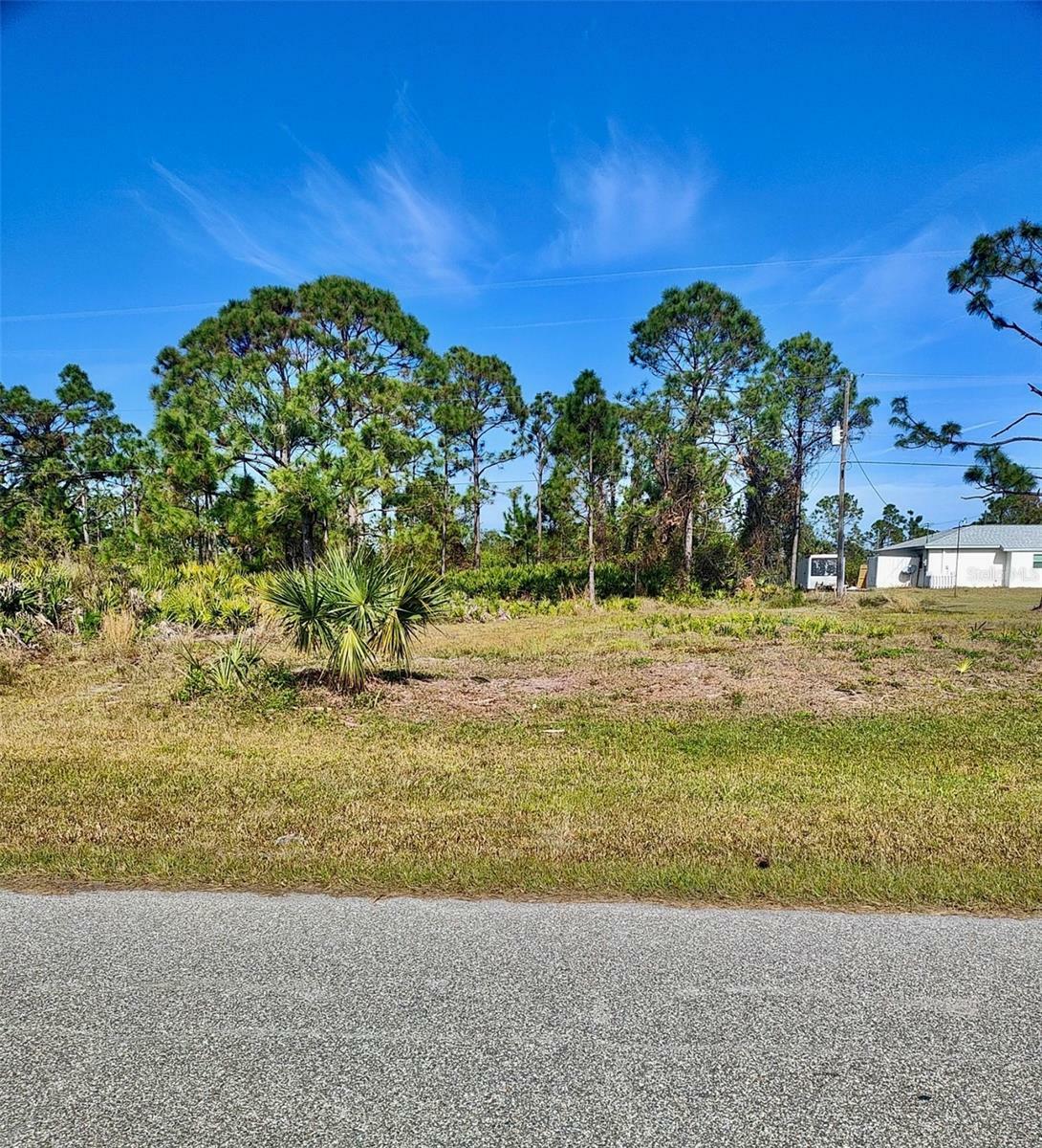 Property Photo:  12106 Diversey Ave/ 12105 Terkelsen Ave  FL 33981 