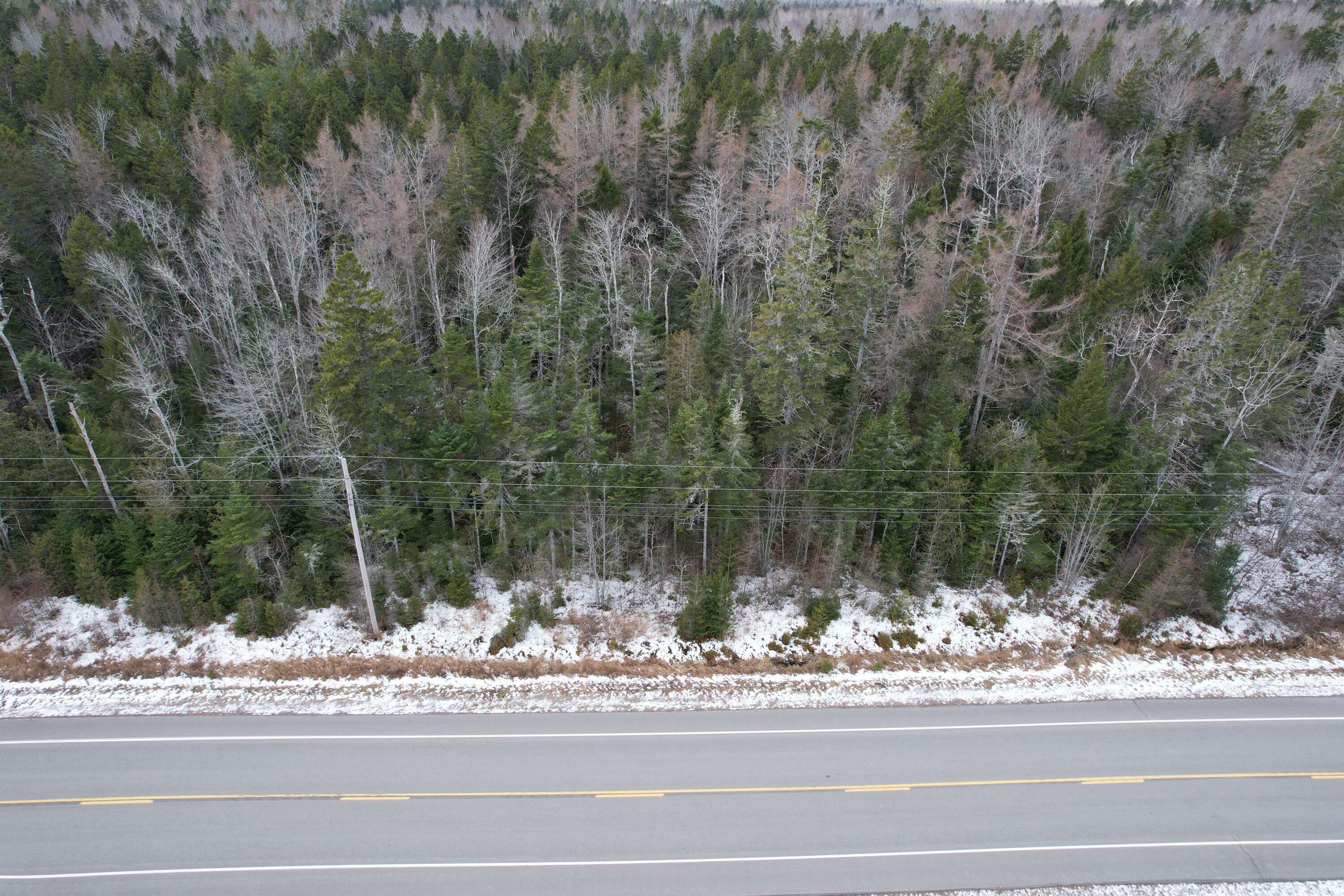 Property Photo:  Lot 51 US-1  ME 04667 