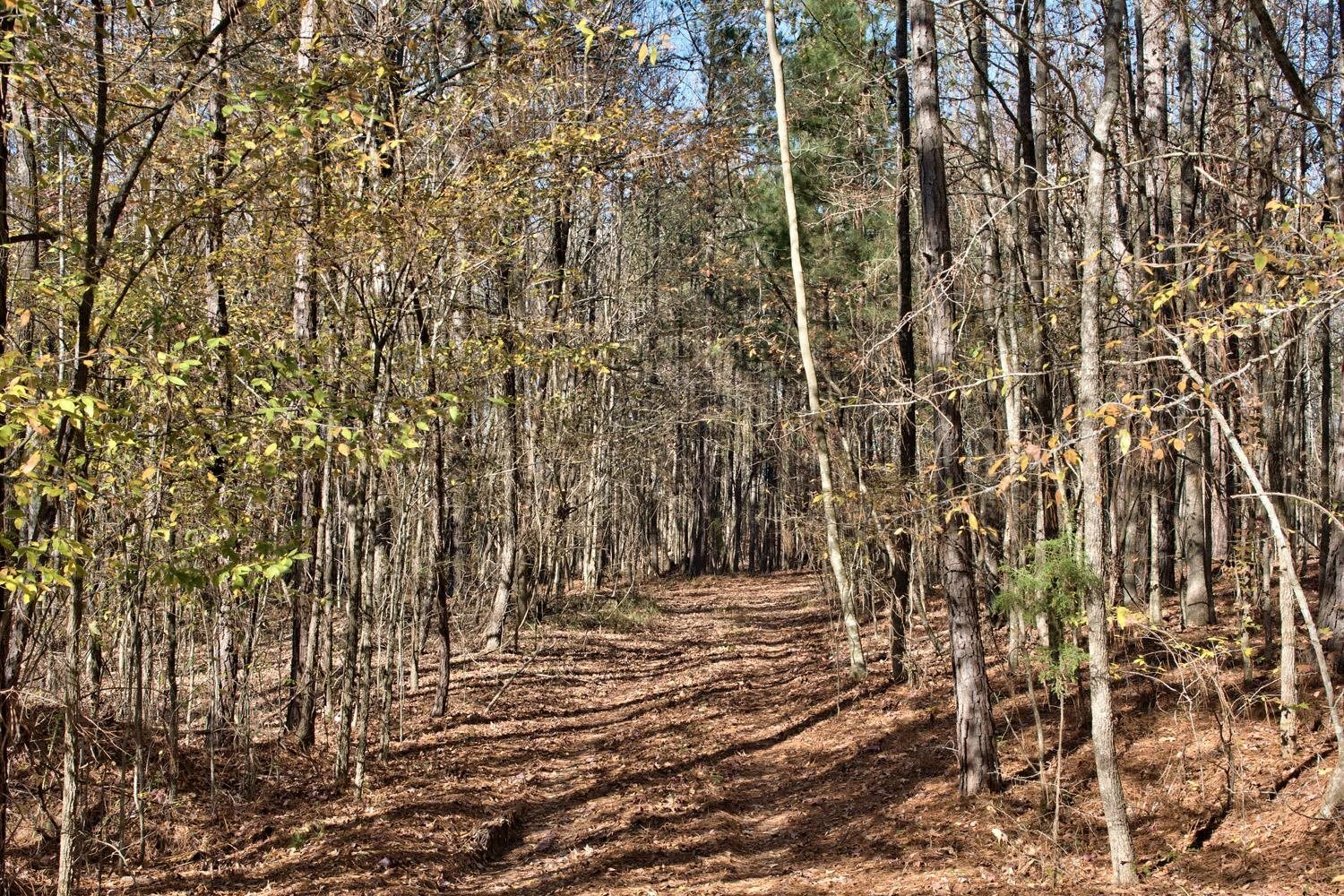 Property Photo:  10ac Cunningham Road  GA 30642-0000 