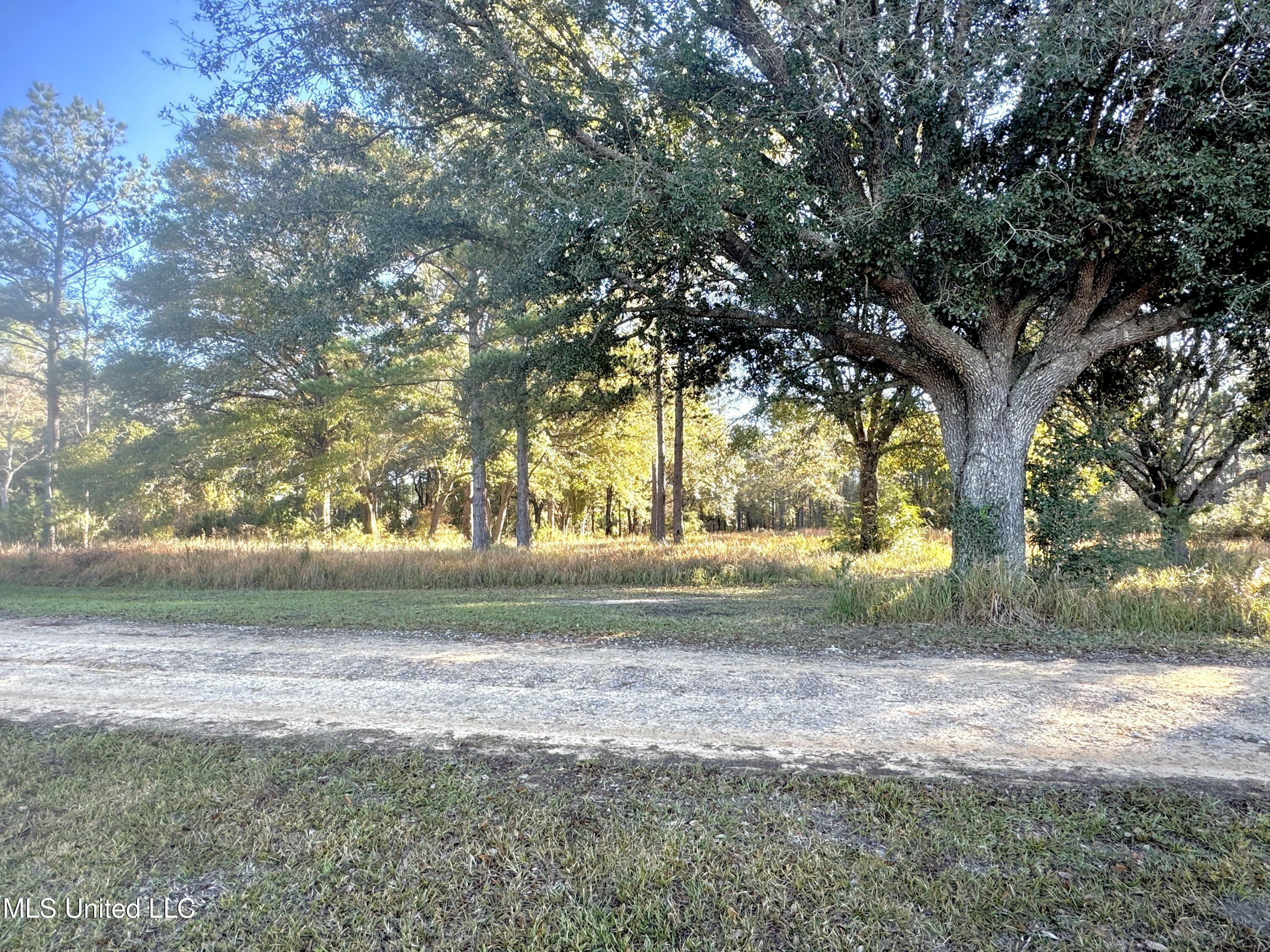 Property Photo:  18000 Rayford Shumock Road  MS 39562 