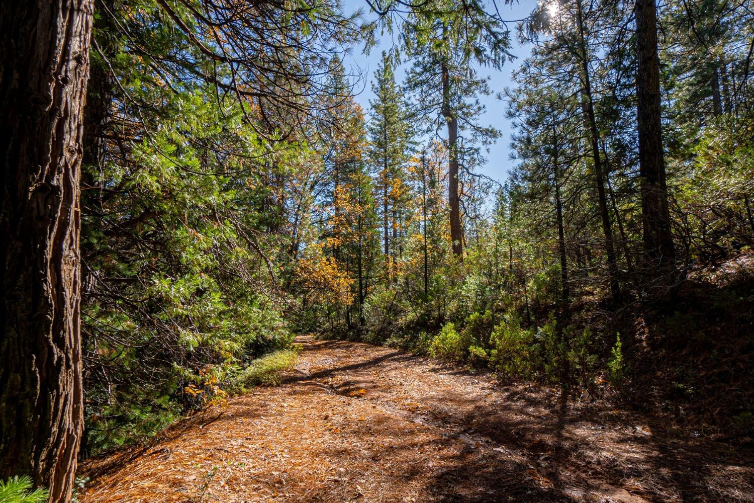 Property Photo:  0 Forest Road Fs-2N07  CA 95383 