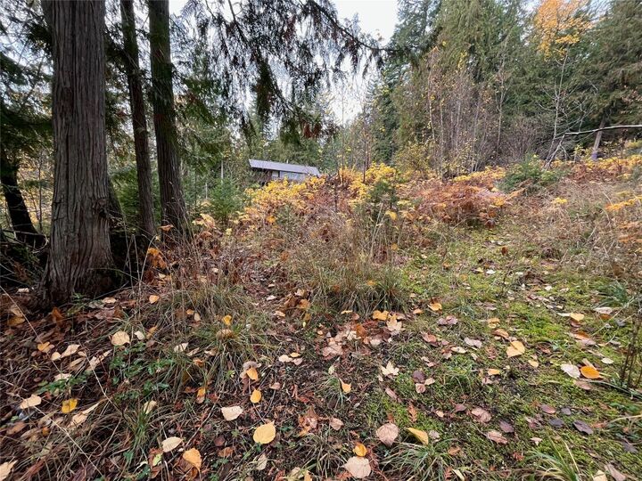 Property Photo:  Lot 150 Anglemont Drive  BC V0E 1M8 