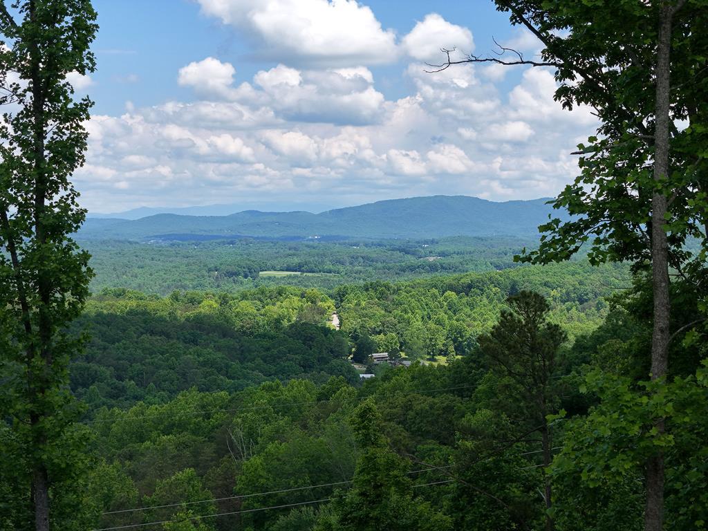 Lot 139 Winding Ridge  Blairsville GA 30512 photo