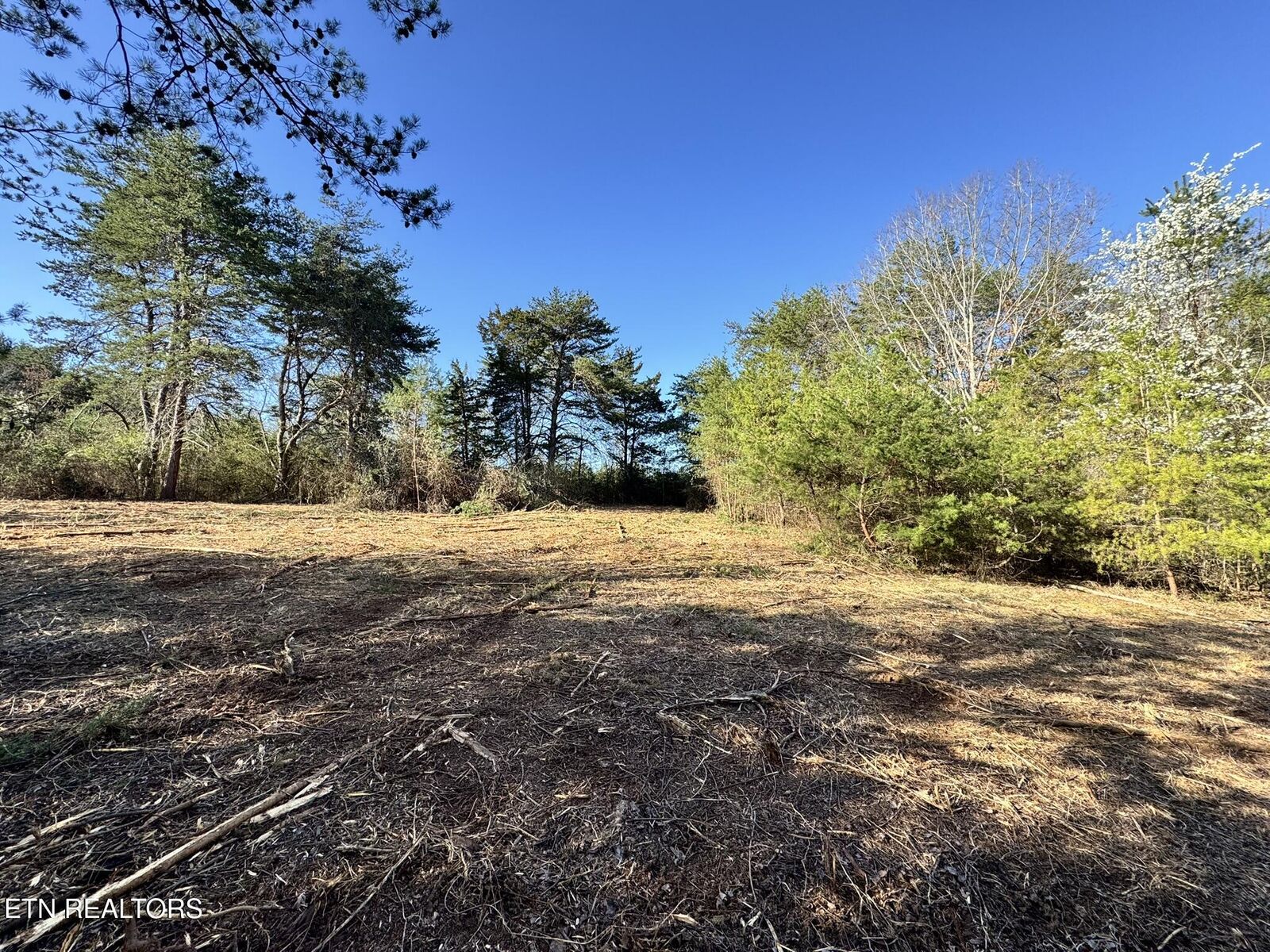 Property Photo: 535 Peterson Lane TN 37803