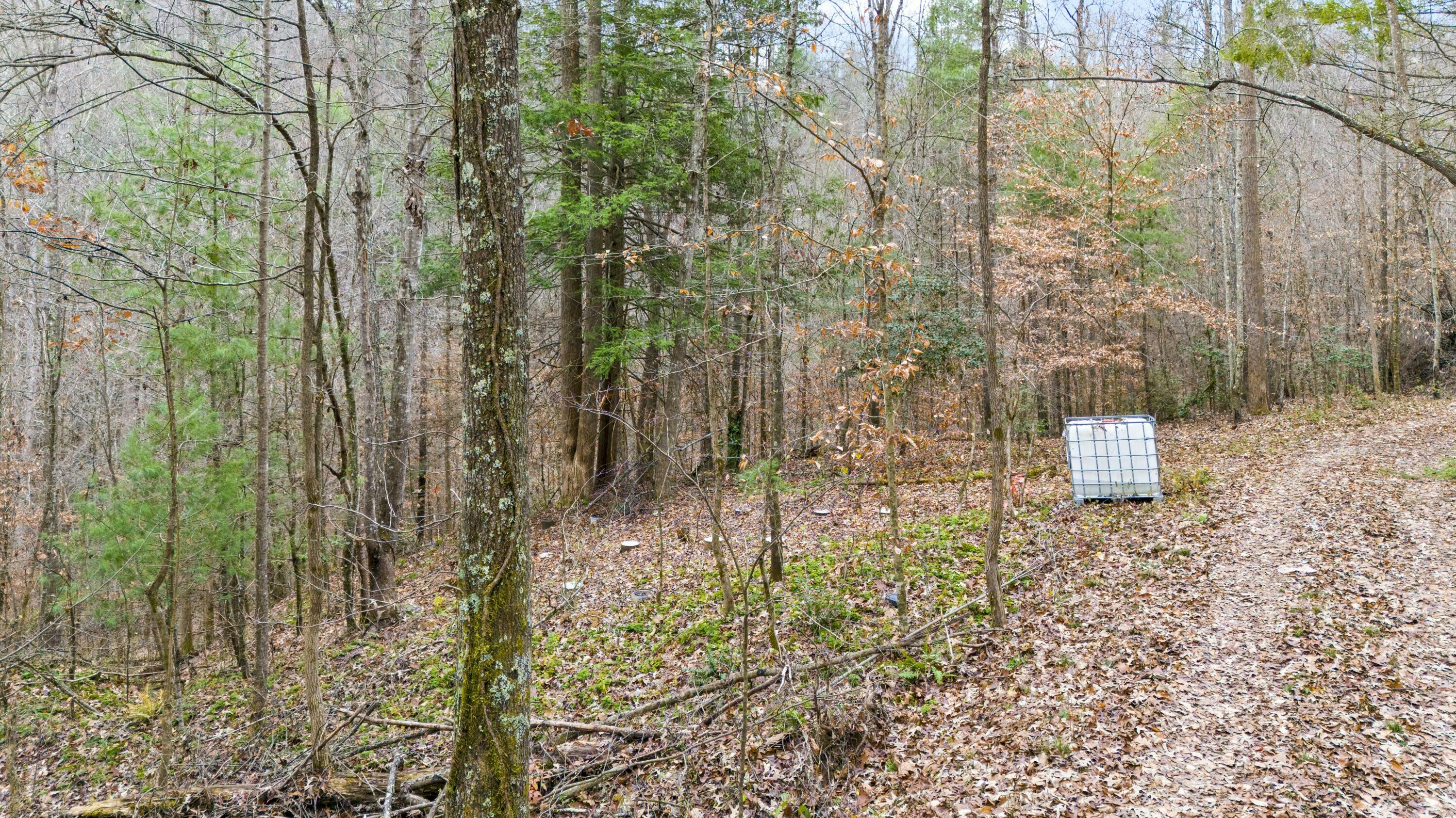 Property Photo:  Lot 21 Lacey Lane  KY 41301 