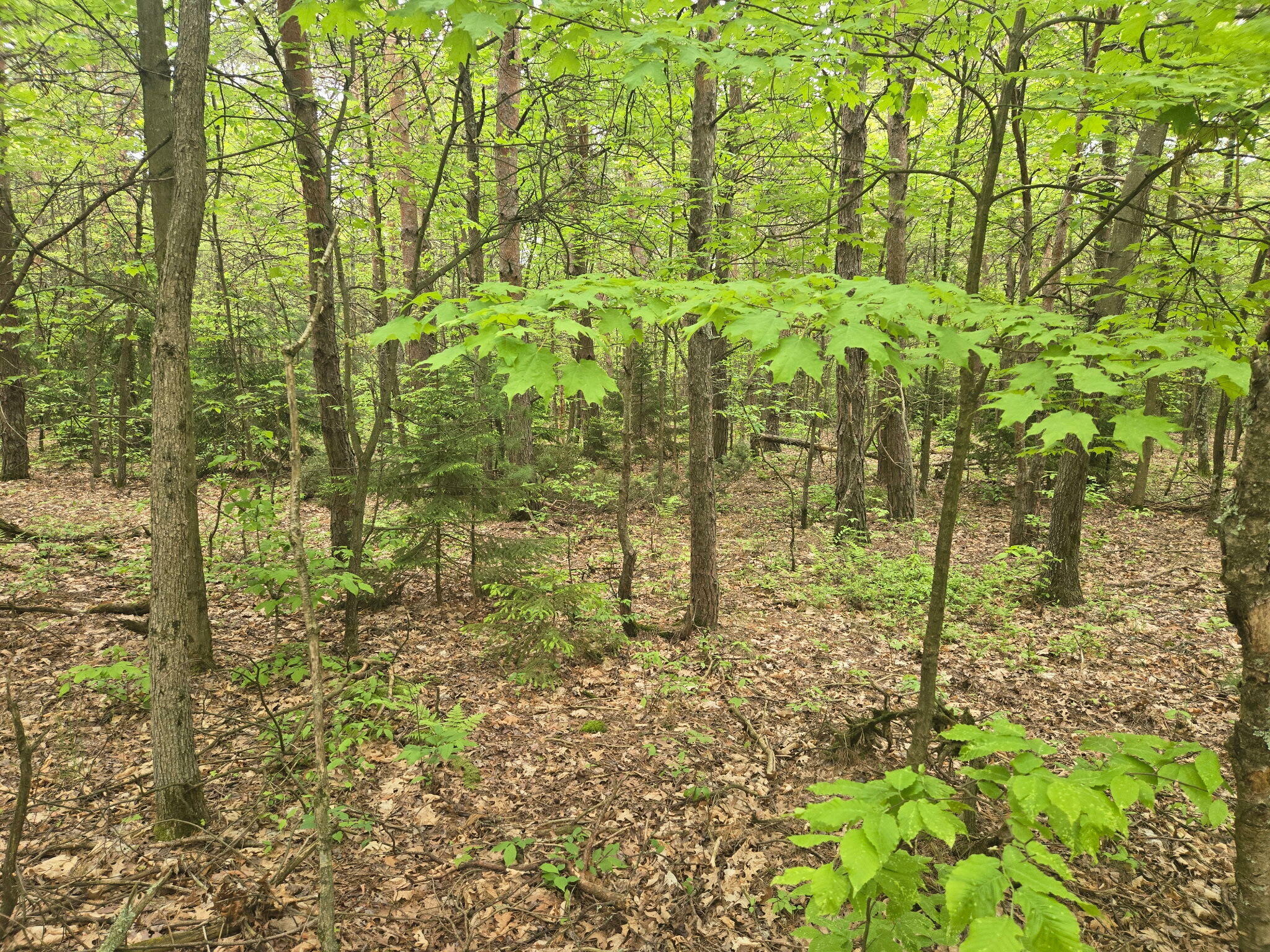 Property Photo: Parcel A Scout Road MI 49436