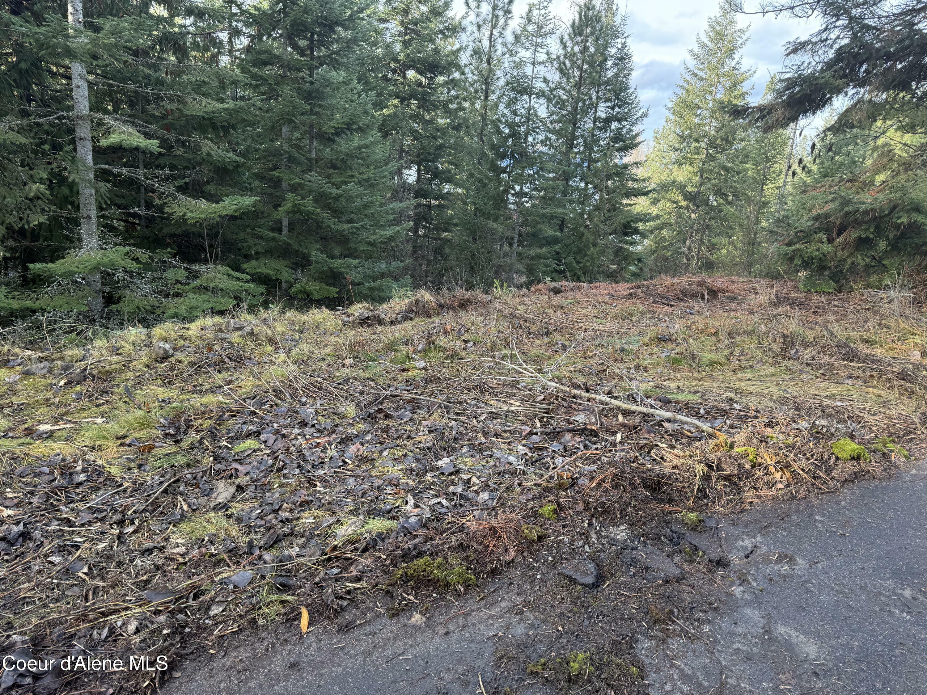 Property Photo:  Lot 5 Flying Eagle Dr  ID 83833 