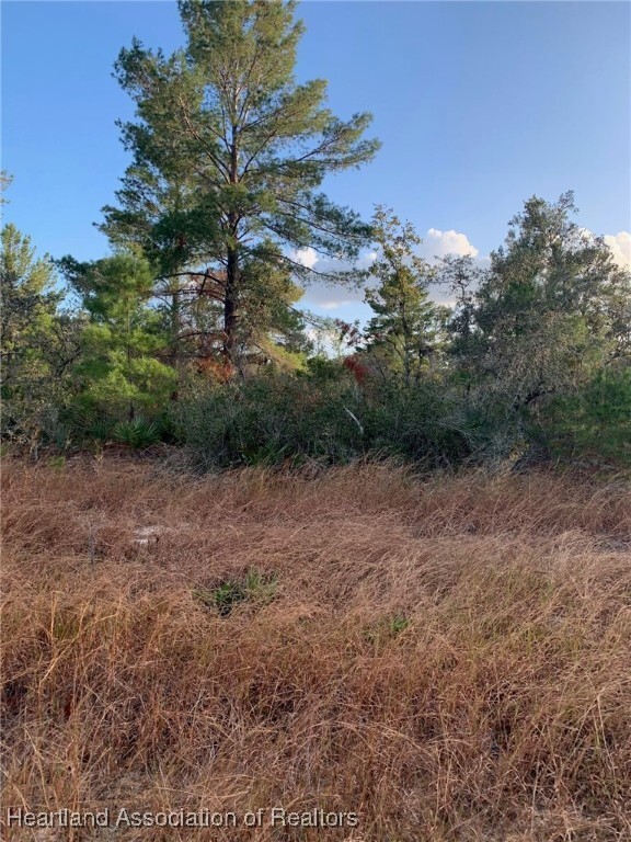 Property Photo: 2851 W Seville Drive FL 33825