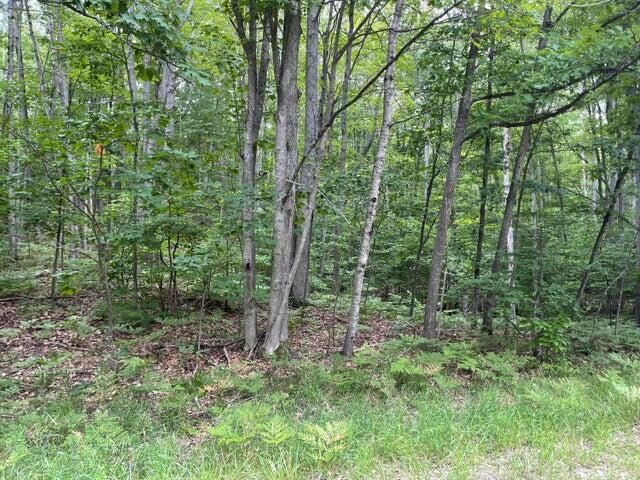 106 Locksley Drive  Frederic MI 49733 photo