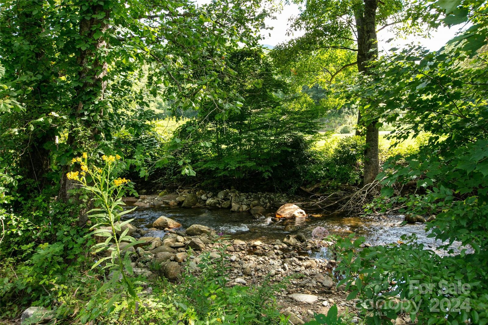 Property Photo: 00000 Scout Trail 15 NC 28716