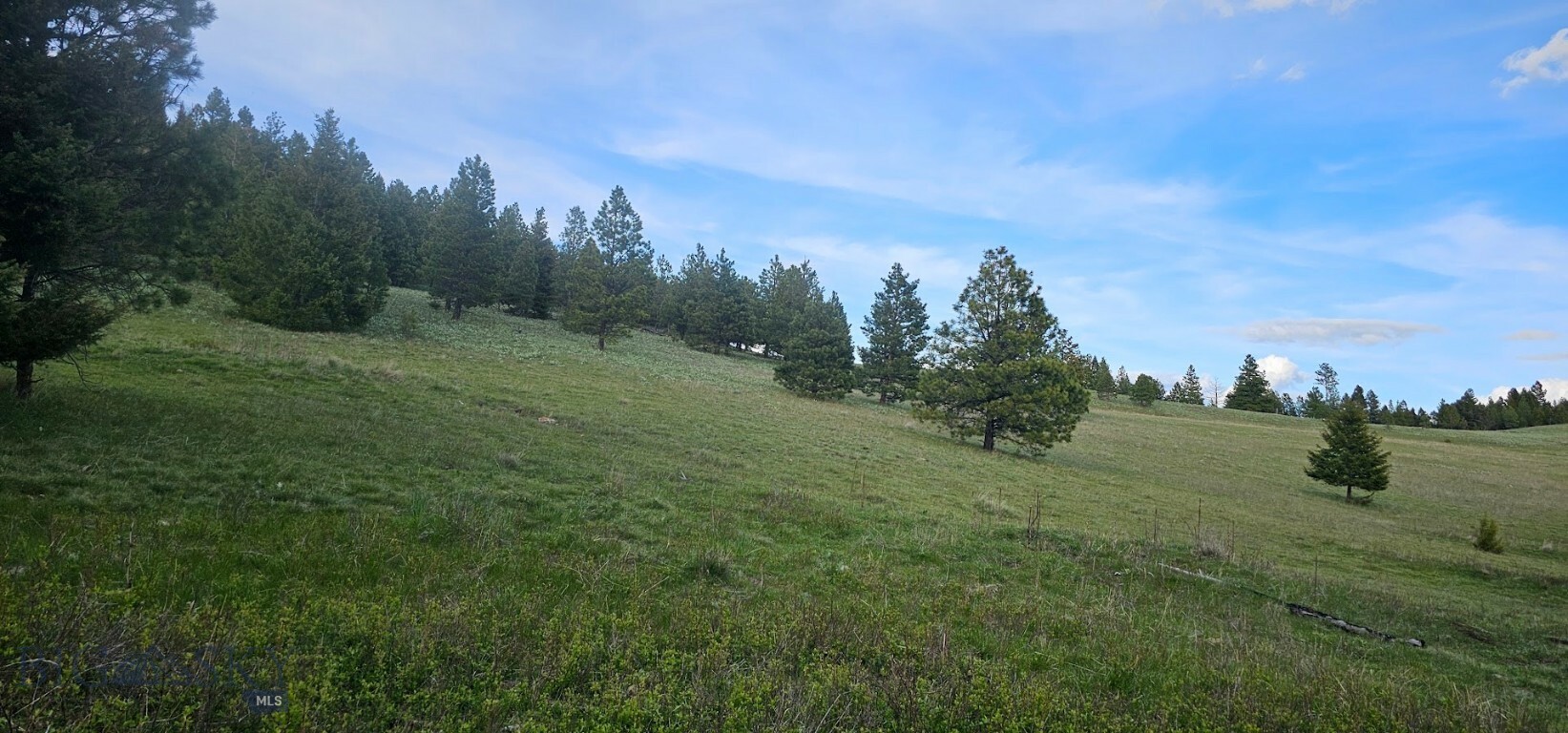 Property Photo:  6 Bull Elk Tracts  MT 59832 