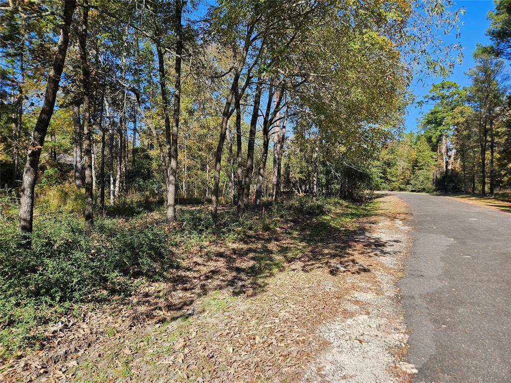 Property Photo:  117 Deep Springs  TX 75862 