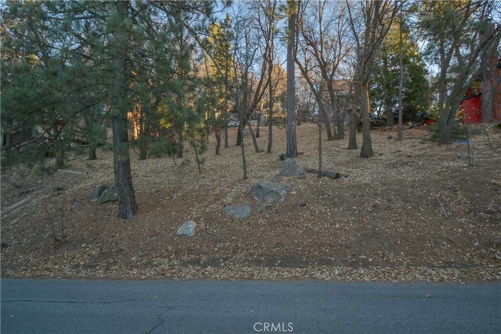 Property Photo:  1411 Yosemite Drive  CA 92352 