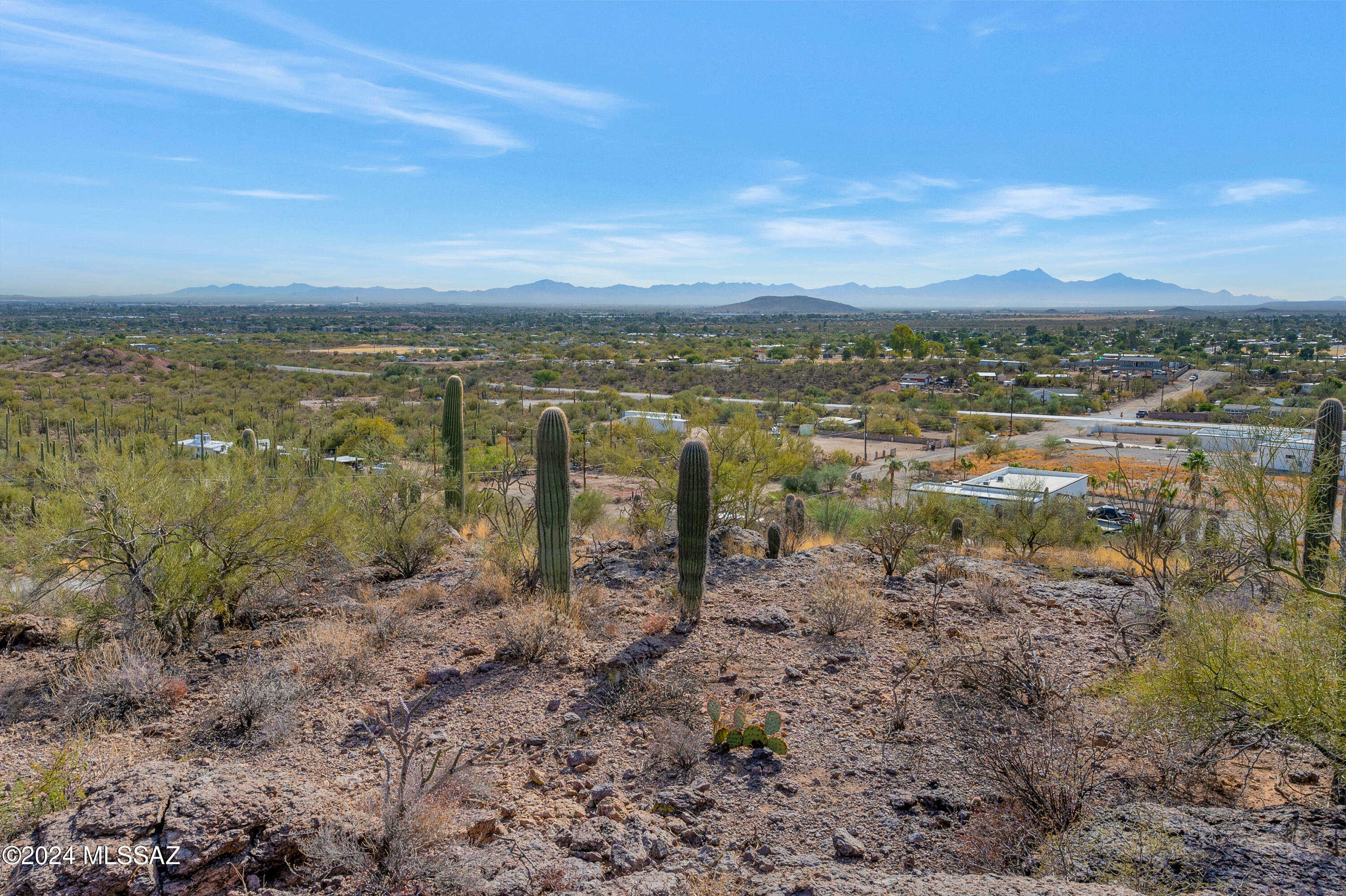 Property Photo:  4896 S Cactus Wren Avenue  AZ 85746 