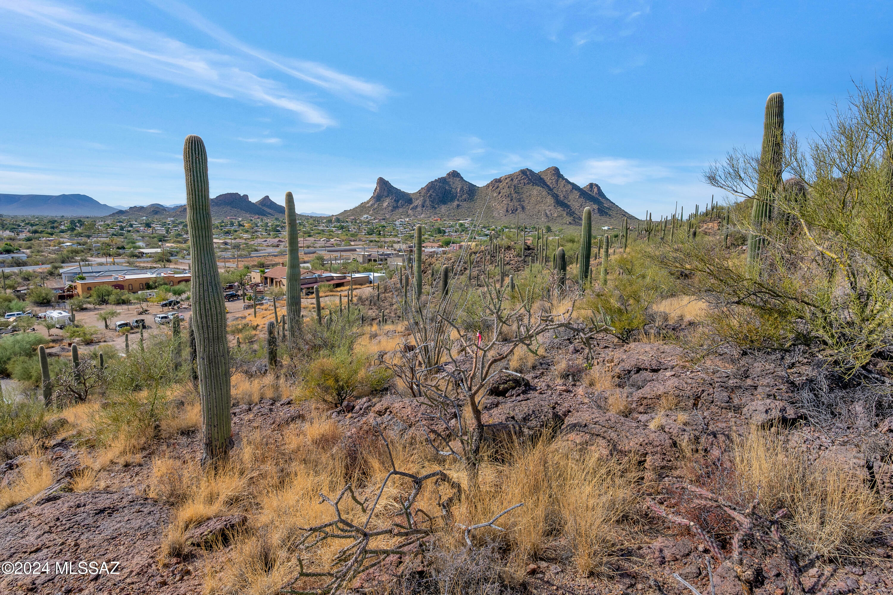 Property Photo:  4896 S Cactus Wren Avenue  AZ 85746 