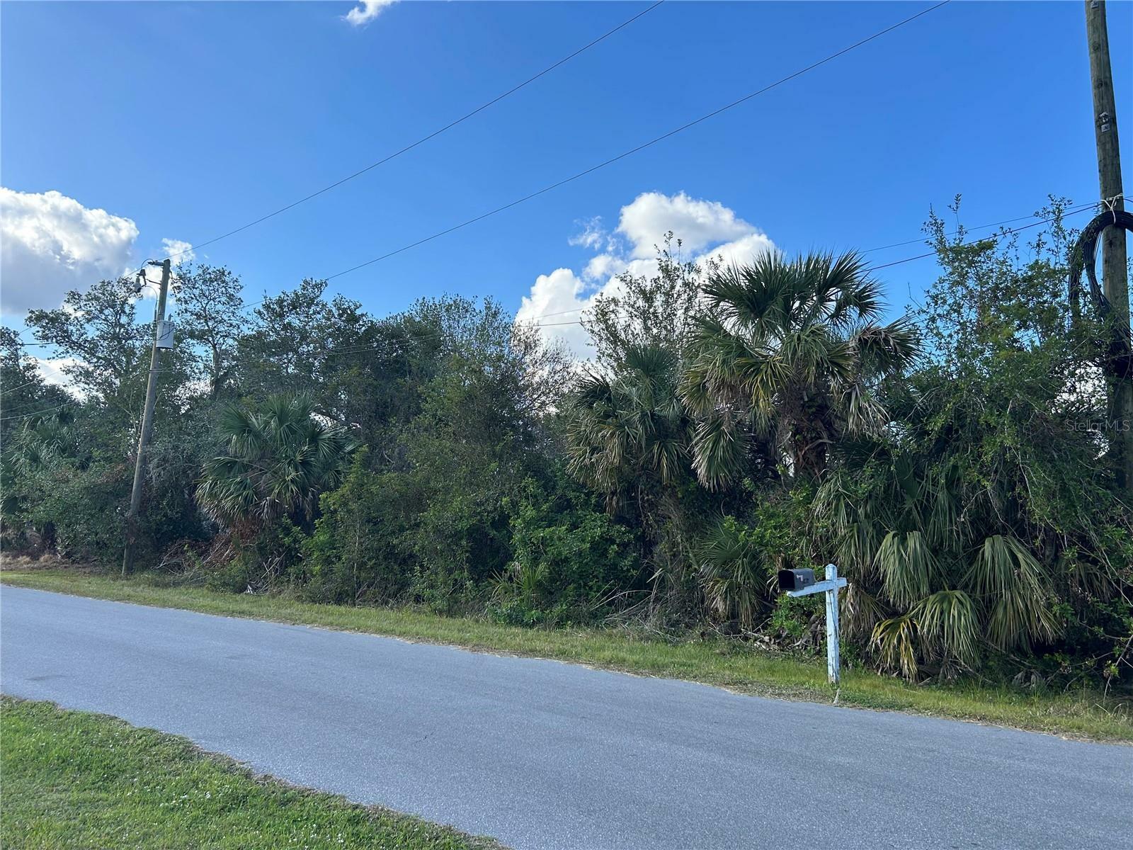 Property Photo:  1147 Longley Drive  FL 33953 