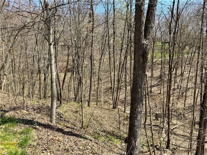 Property Photo: 0 Poplar Estates Drive WV 25560