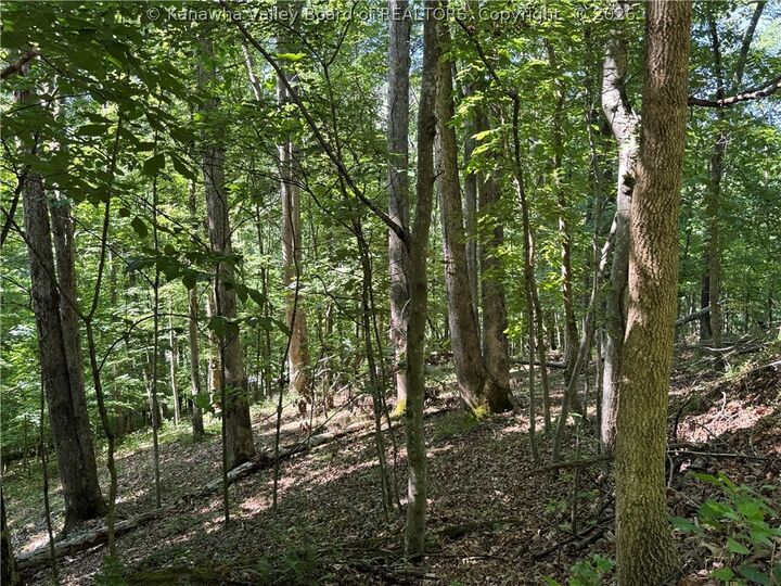 Property Photo:  0 Poplar Estates Drive  WV 25560 