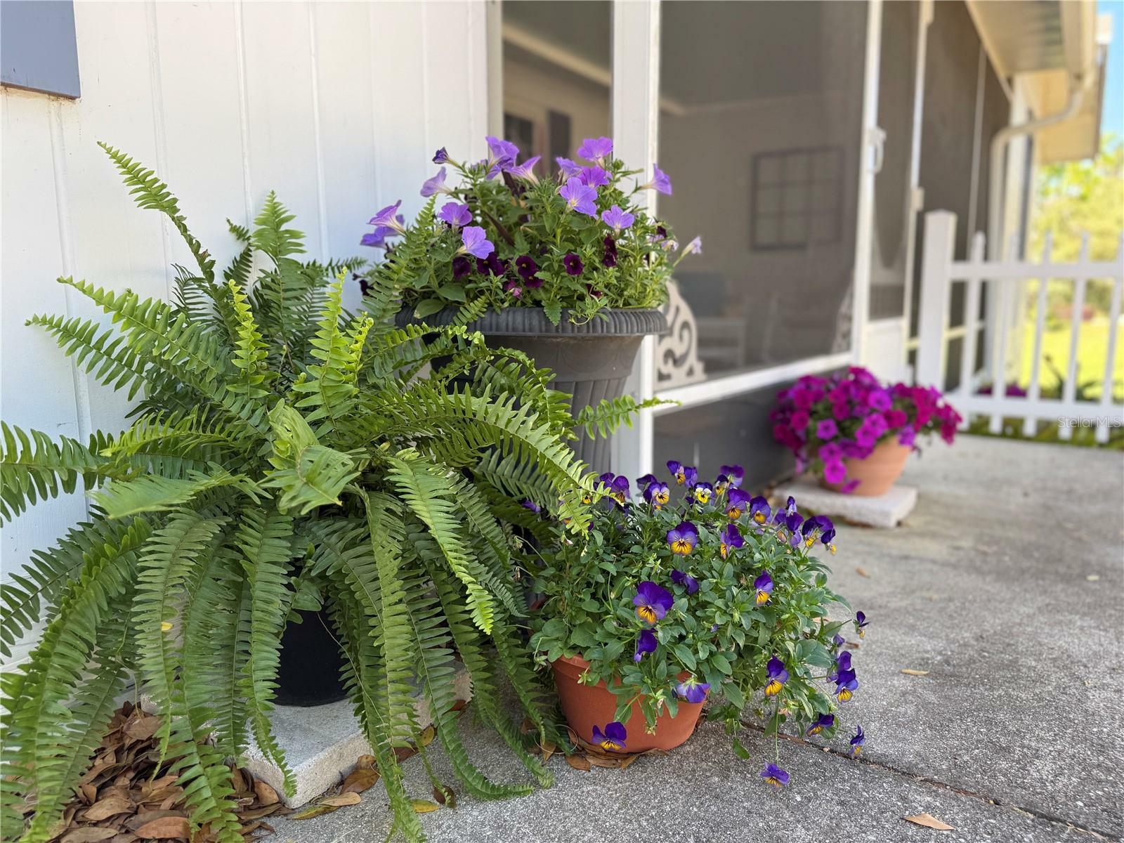 Property Photo: 422 W 11th Avenue FL 32757